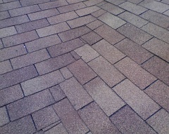 Dec30_0010